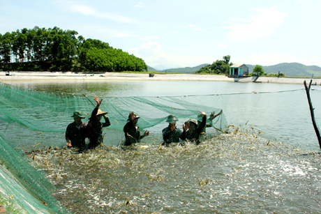 Northern province’s district gains high economic value from fish breeding